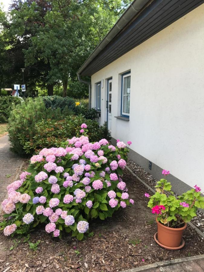 Ostsee Salzhaff